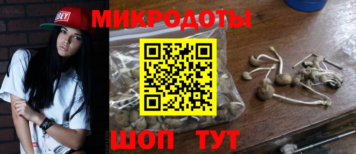 Соль-Илецк  Галлюциногенные грибы MAGIC MUSHROOMS  Вход с VPN 